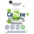 Caffeine 200 mg + guarana  100 kapsułek vege - Aliness